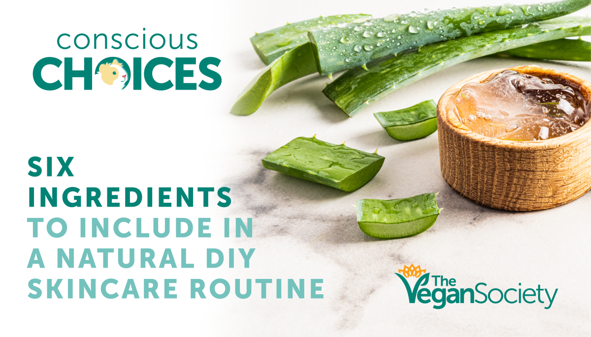 Six ingredients to include in a natural DIY skincare routine graphic featuring aloe vera and The Vegan Society Conscious Choices logo