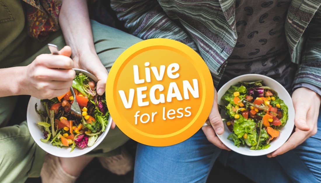 Live Vegan for Less graphic