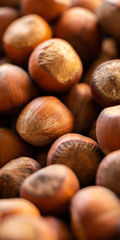 image of hazelnuts 