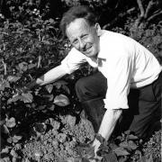 Black and white photo of Donald Watson gardening