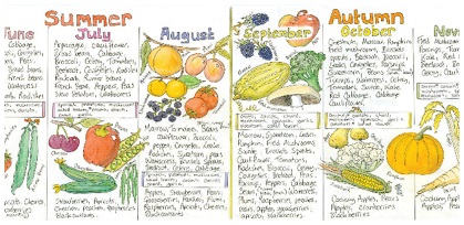 Summer Fruits And Vegetables Chart