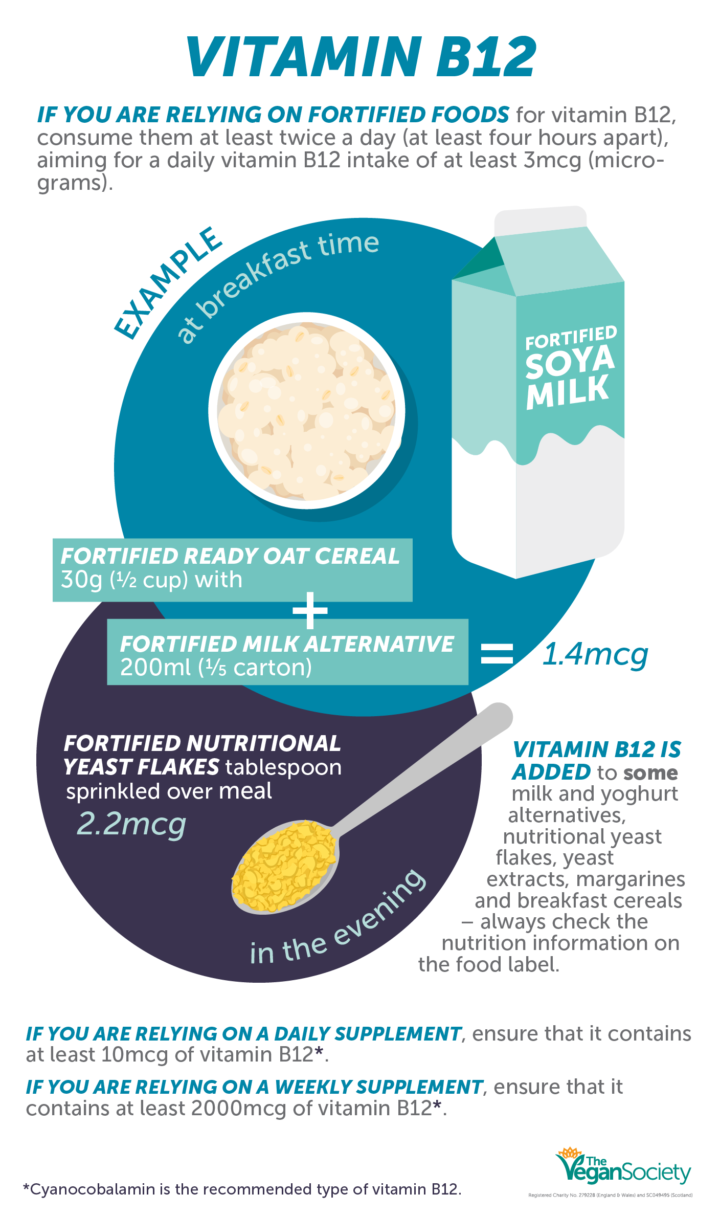 This is a B12 infographic