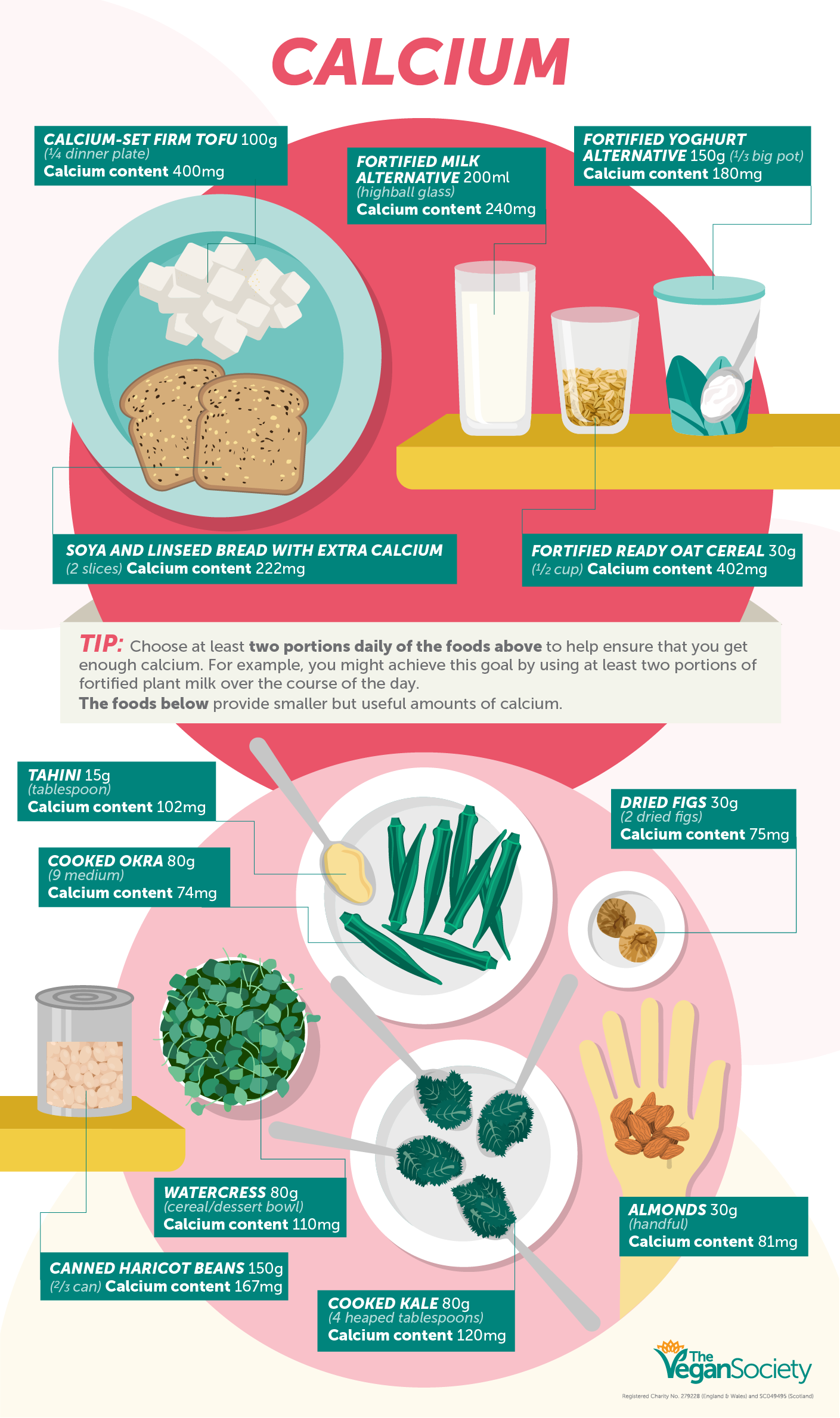 This is a B12 infographic