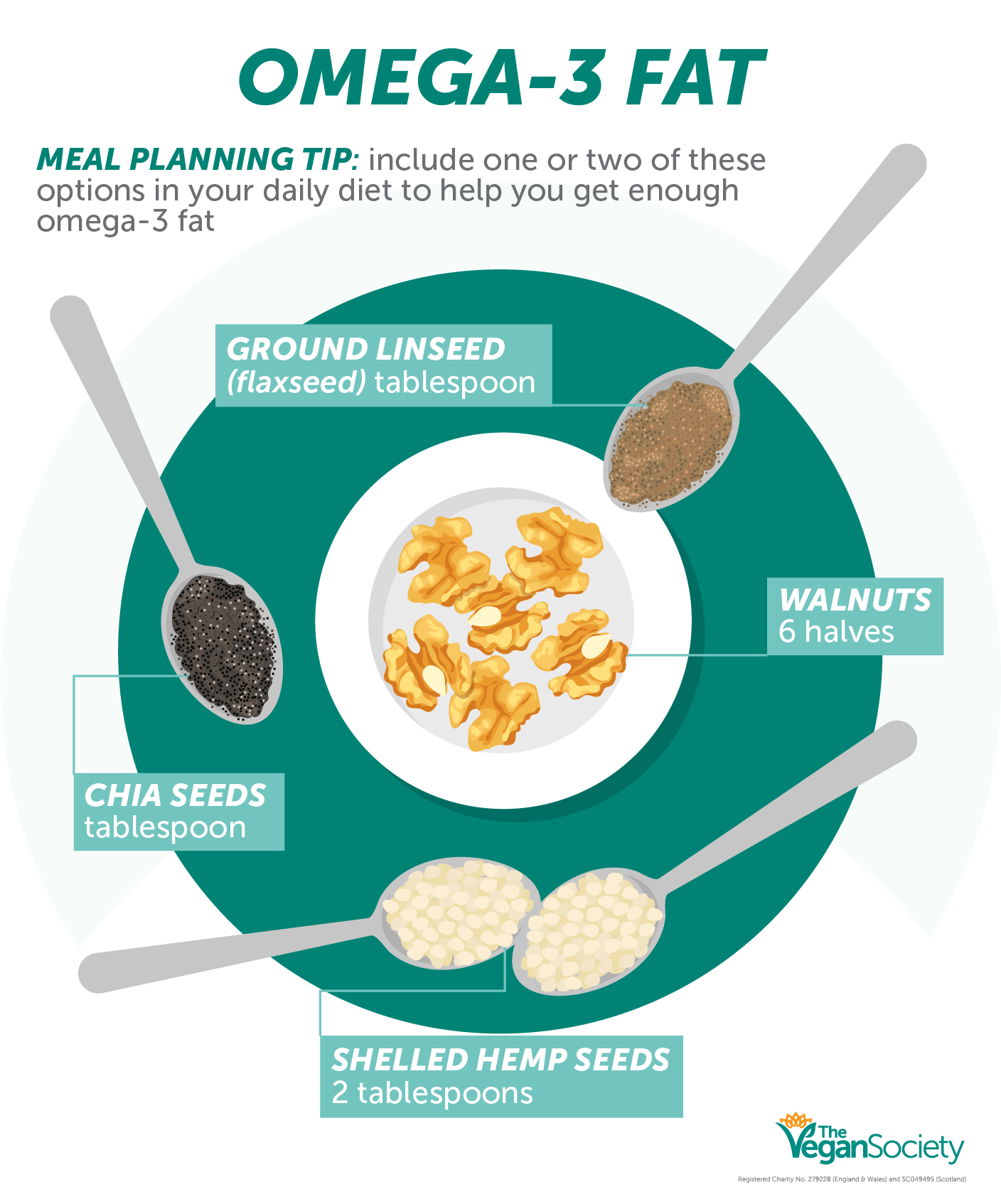 This is a B12 infographic