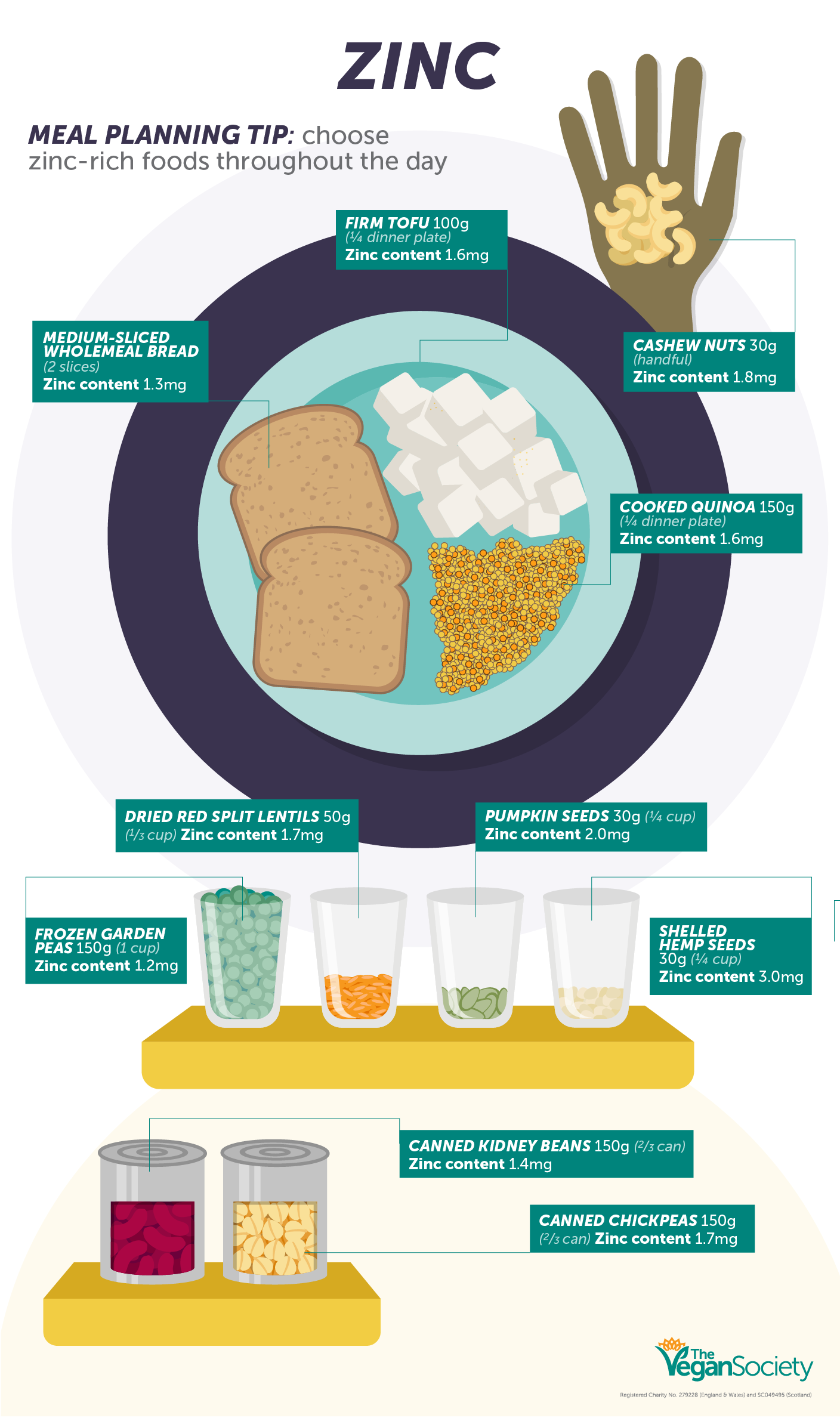 This is a B12 infographic