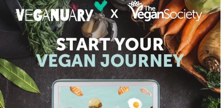 One Little Switch and Veganuary graphic