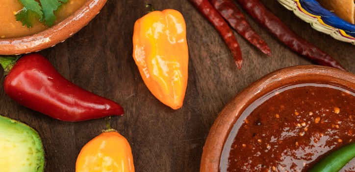 Salsa | The Vegan Society