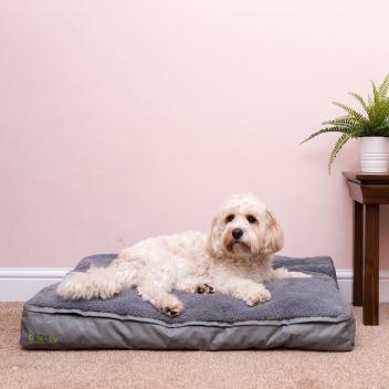 vegan dog bed