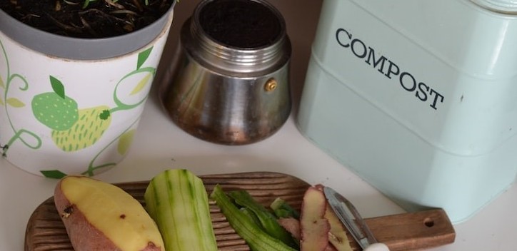 Seven ways to save money and reduce food waste using food scraps | The ...