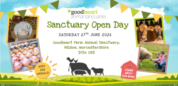 Sanctuary Open Day Poster