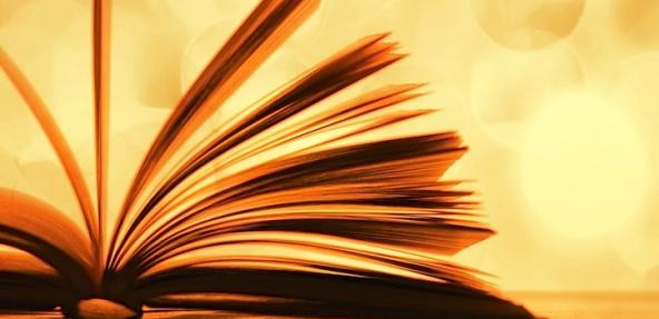 Book with pages open