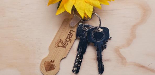 Vegan keyring and sunflower