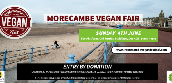 Morecambe vegan fair graphic