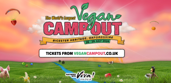 Vegan camp out graphic