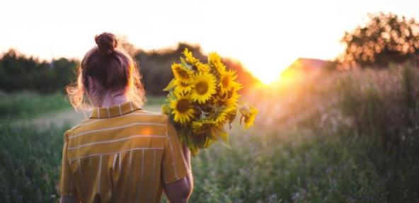 person in field carrying sunflowers