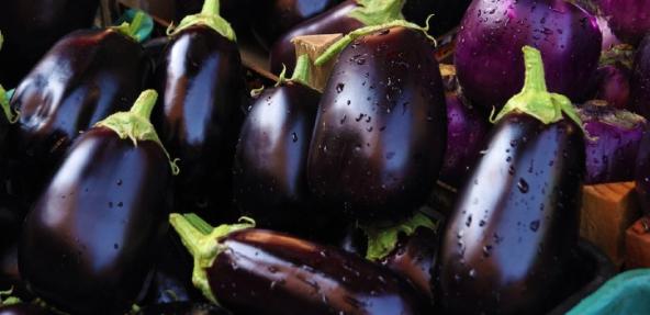 aubergines