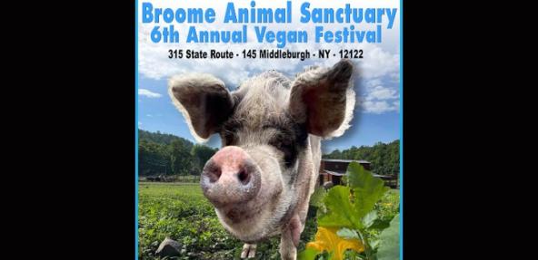 broome animal sanctuary vegan festival 2023