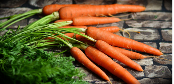 A bunch of carrots