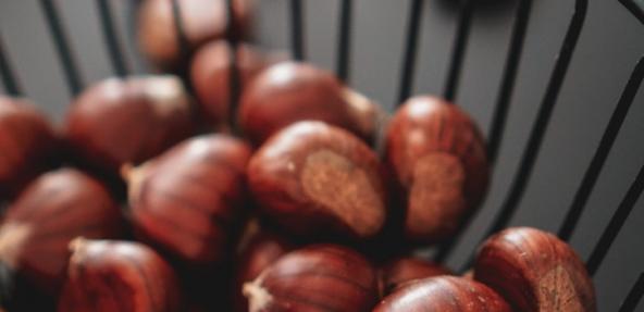 chestnuts