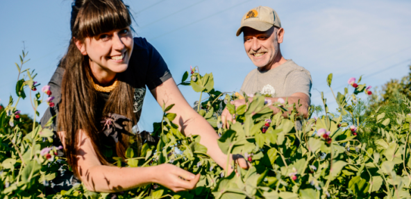 Two smiling farmers in a pea field thumbnail