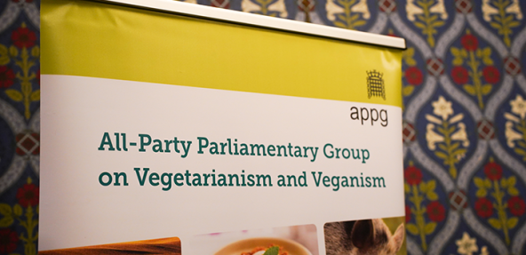 Image of APPG banner