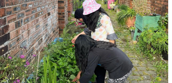 alleyway allotment with community growers