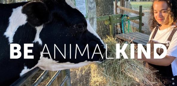 Be AnimalKind banner of person feeding a cow hay