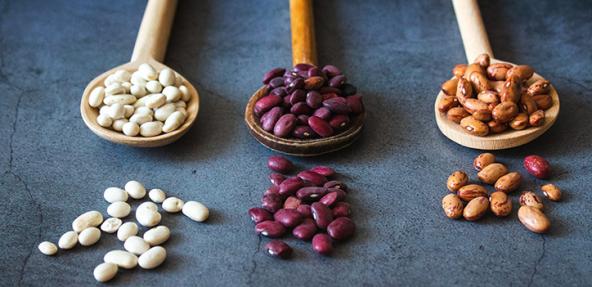 Dried beans on wooden spoons