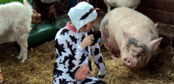 Fiona Oakes in the cow suit ahead of her latest challenge