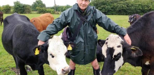 Jay with cows