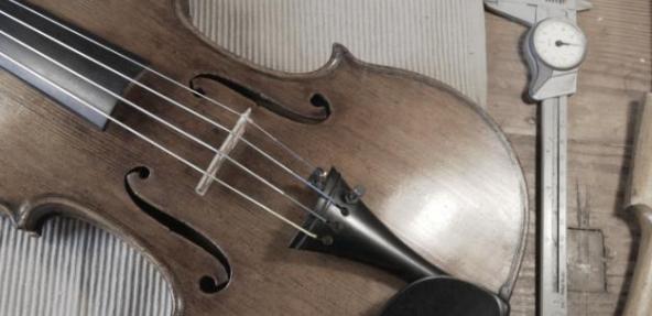 Vegan Violin lying on wooden table