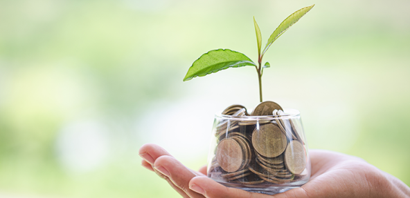 Hand holding out money in a jar with a plant growing