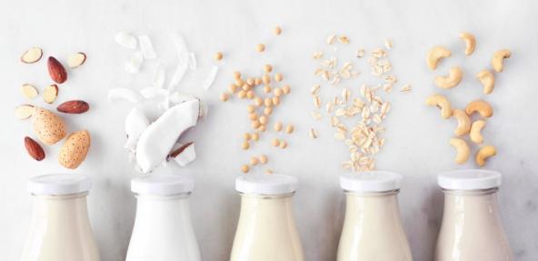 Vegan, plant based, non dairy milk. Variety in milk bottles with ingredients. Above view over a white marble background.