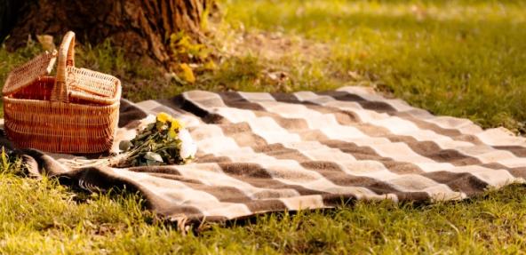 Picnic basket in the sun