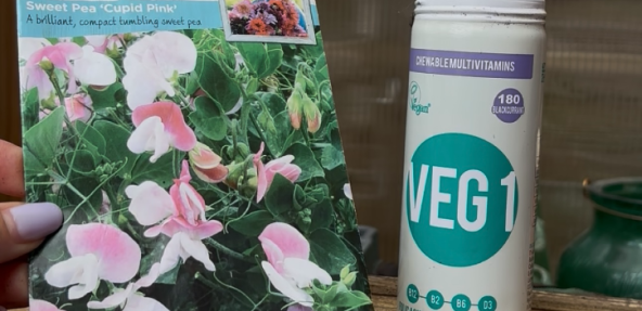 VEG 1 tin used for sowing seeds