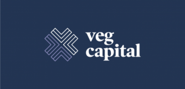 VEG Capital Logo in navy blue