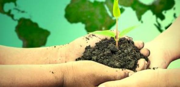 Hands holding a plant in front of world map