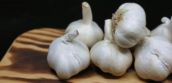 bulbs of garlic