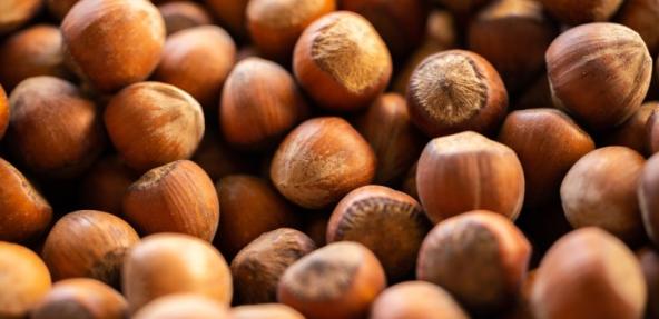 image of hazelnuts