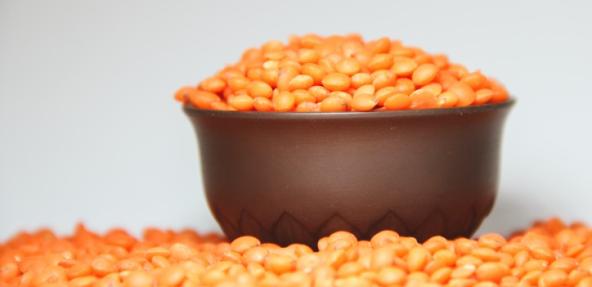 lentils in a bowl