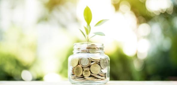 Money in a jar with a plant growing out of it