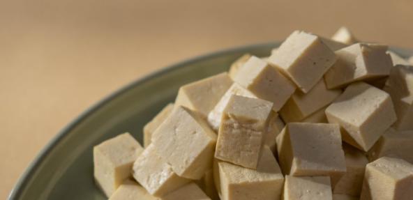 photograph of tofu on a plate