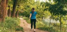 Person walking through a park