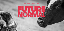 Future Normal logo