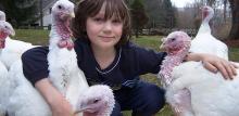child with turkeys
