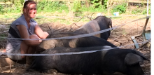 Chris sitting next to three pigs, Flora, Fauna and Fabulous