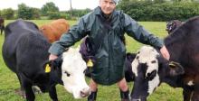 Jay with cows