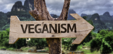 Wooden sign in rural area pointing to VEGANISM