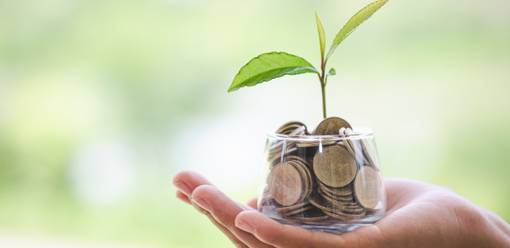 Plant growing for a money jar