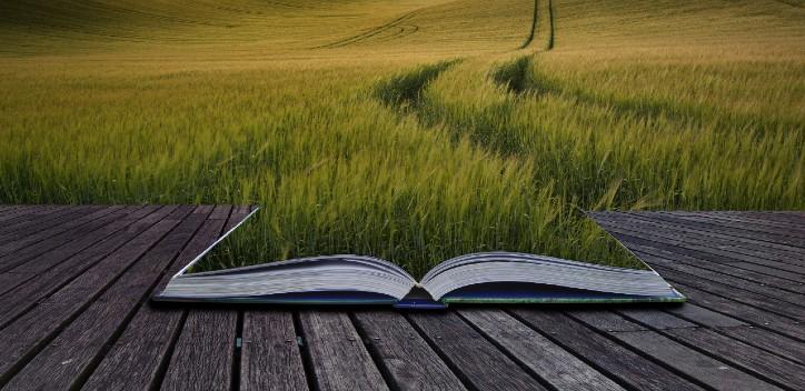 Field landscape and an open book with grass